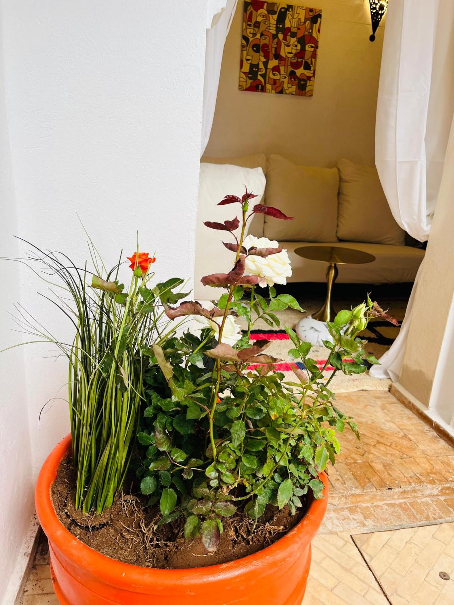 Riad Darna 4 Chambres Avec Piscine Et Petit Dejeuner מרקש מראה חיצוני תמונה